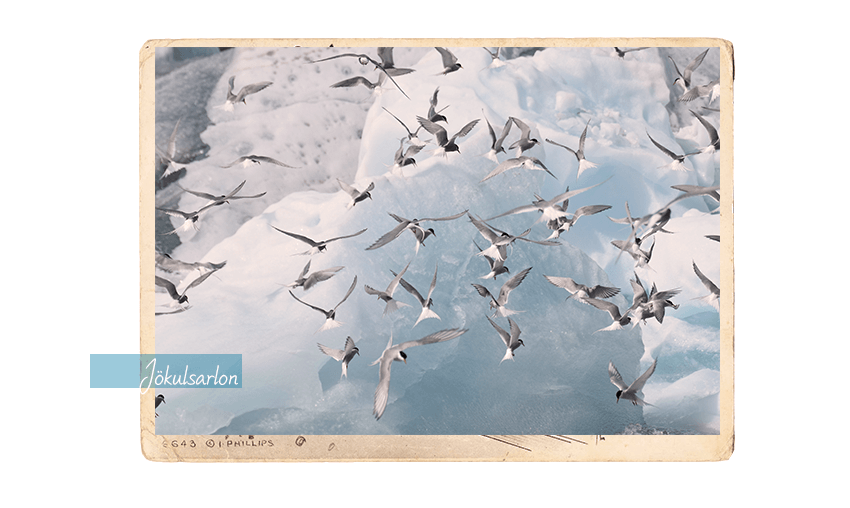 carte postale 1d_850x508