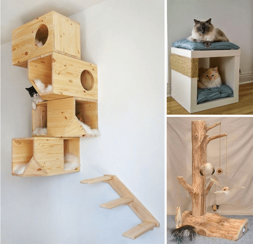 maison originale chat