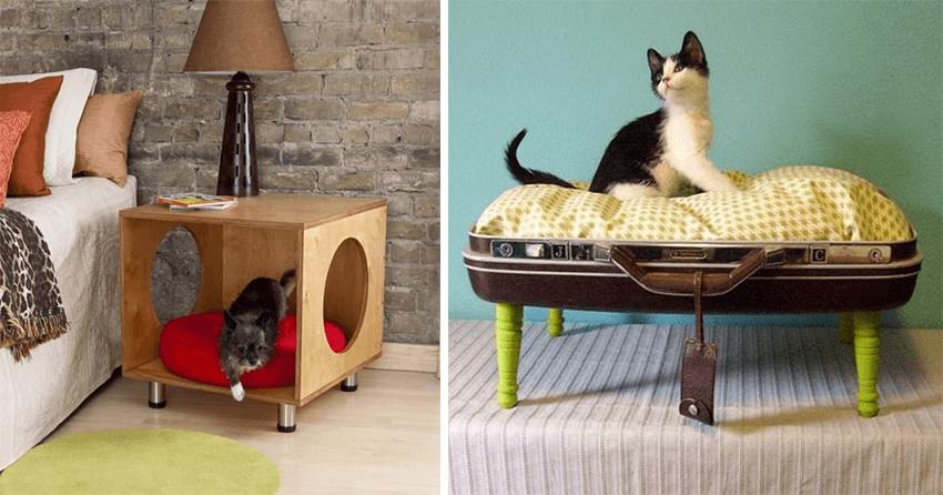 mobilier original chat