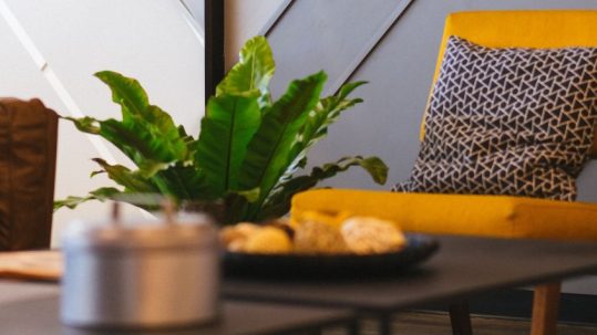 Une maison de maître rénovée pour les vacances